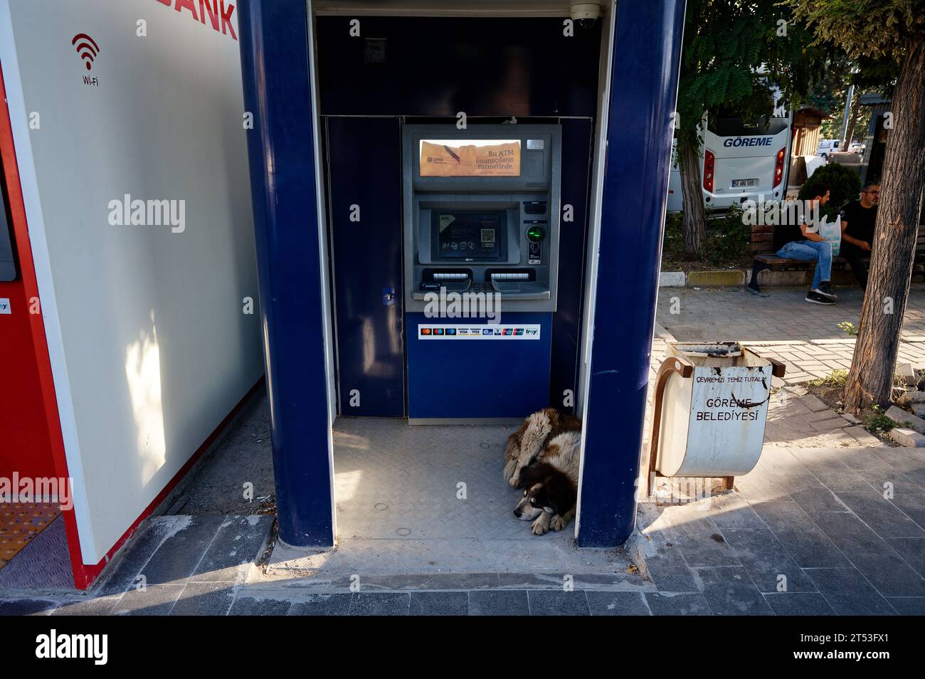 Ein streunender Hund findet eine ruhige Oase und schlummert in einem blauen geldautomaten inmitten der touristischen Straßen Kappadokiens Stockfoto
