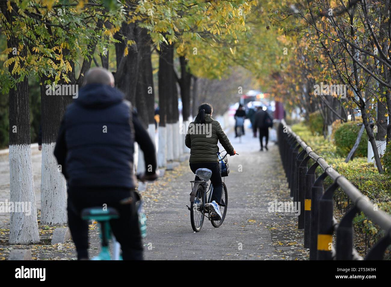 SHENYANG, CHINA – 3. NOVEMBER 2023 – die Bürger ziehen Winterkleidung in Shenyang, Liaoning Pro, um den stürzenden Temperaturen standzuhalten Stockfoto