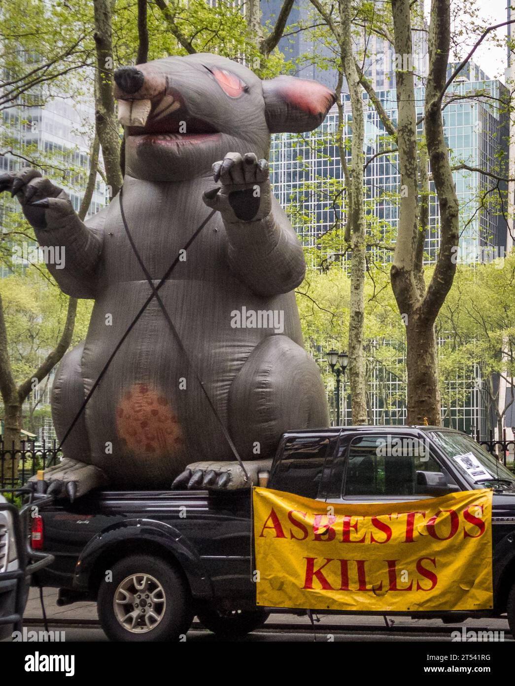 Riesige Ratte auf der Straße im Bryant Park, New York Stockfoto