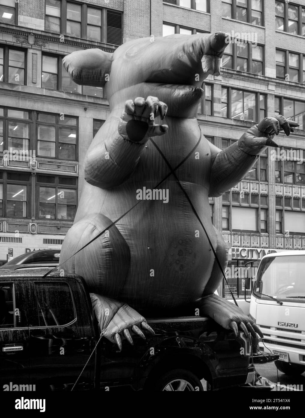 Riesige aufblasbare Ratte in New York Stockfoto