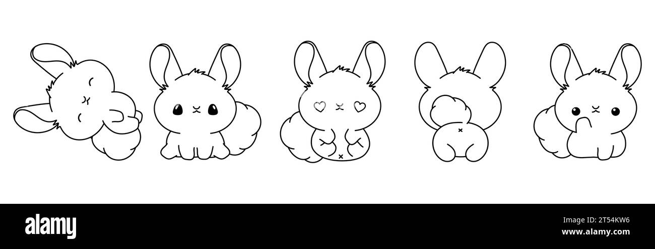 Sammlung von Vektor-Cartoon Chinchilla-Malseite. Satz von Kawaii isolierten Haustier-Outline für Aufkleber, Babydusche, Malbuch, Drucke für Kleidung Stock Vektor