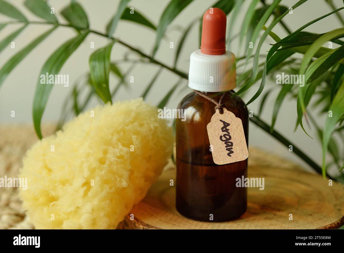 Arganöl in bernsteinfarbener Glasflasche mit natürlichem Meeresschwamm - Naturkosmetik Stockfoto