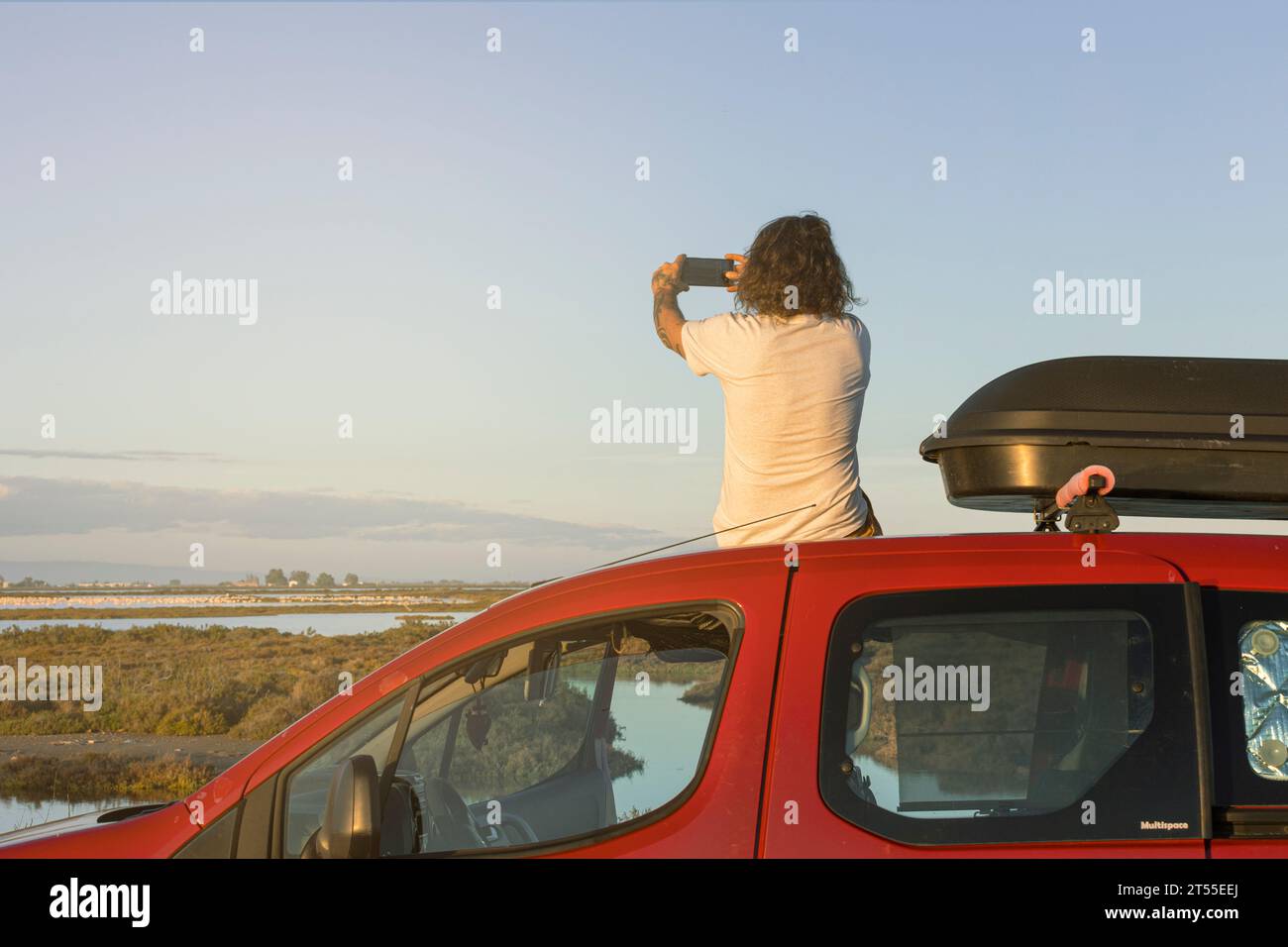 Mann fotografiert Flamingos auf einem Auto mit seinem Handy. Stockfoto