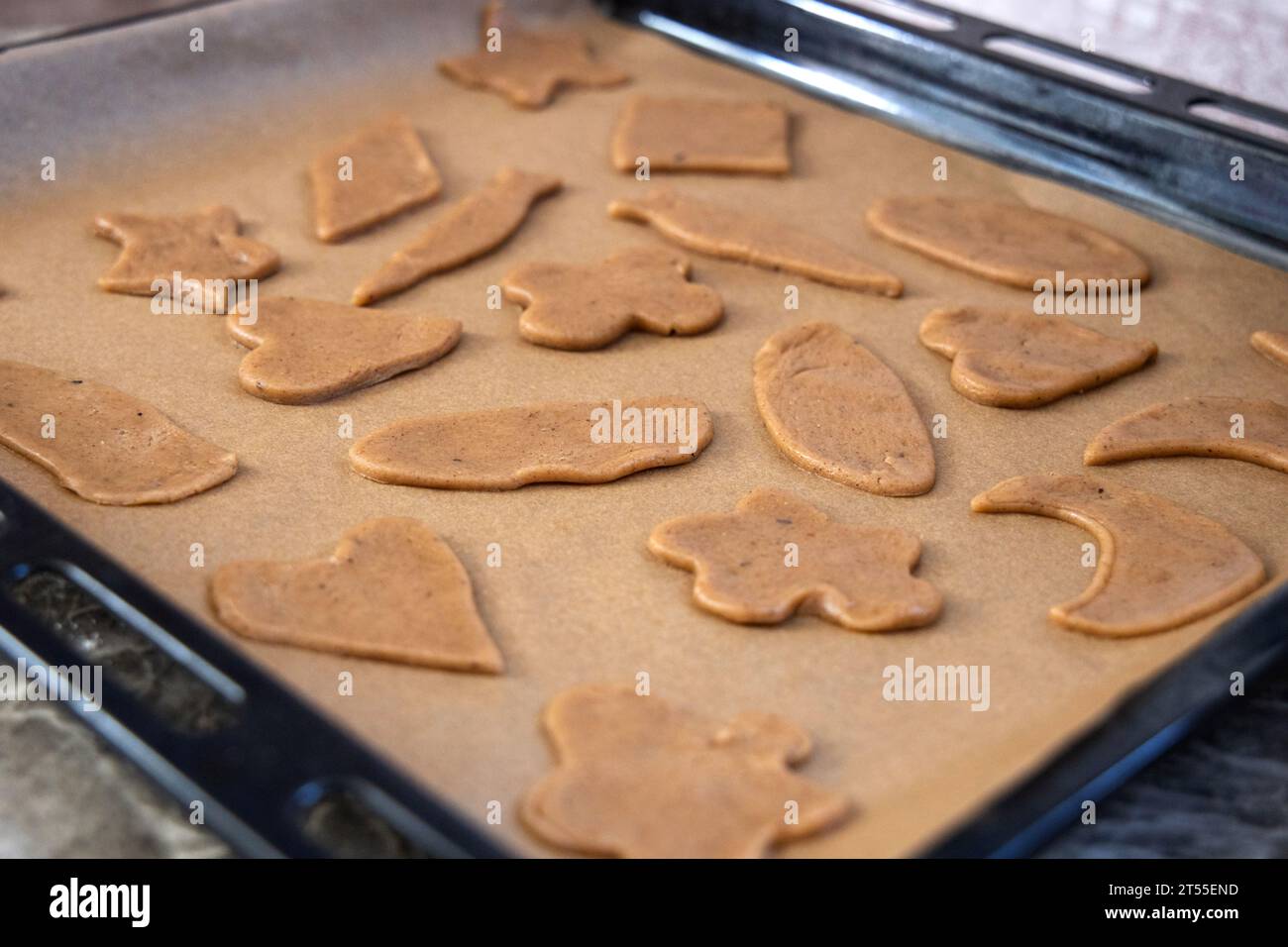 Ingwerkekse auf einem Backpapier, bereit zum Backen Stockfoto