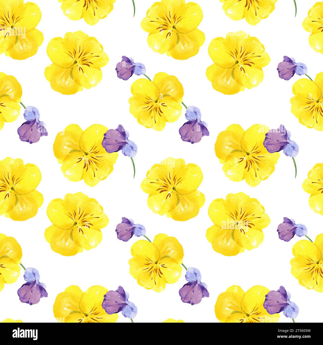 Nahtloses Aquarellmuster mit handgezeichneten Stiefmütterchen-Blüten und Knospen, violette und gelbe Frühlingsblumen, Sommerillustration, isoliert auf weißem Hintergrund Stockfoto
