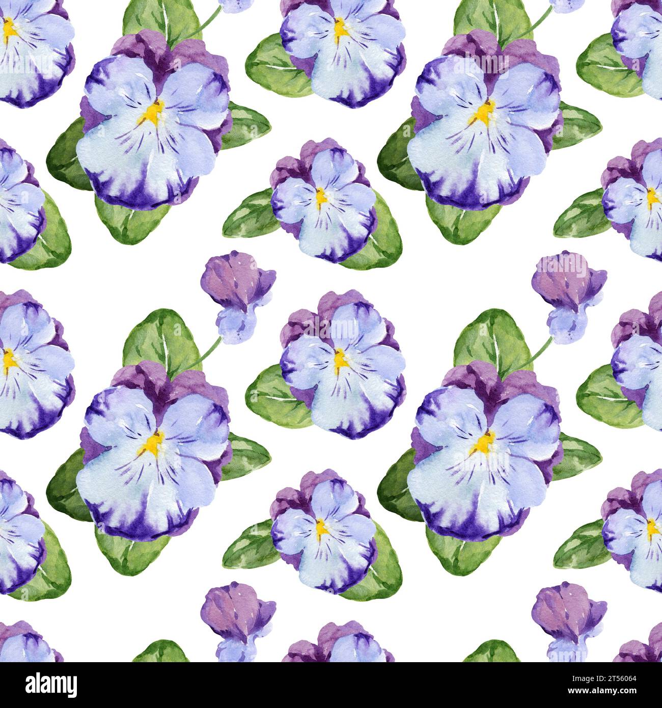 Nahtloses Aquarellmuster mit handgezeichneten Stiefmütterchenblüten und Knospen und Blättern, lila und lila Frühlingsblumen, Sommerillustration, isoliert auf weiß Stockfoto