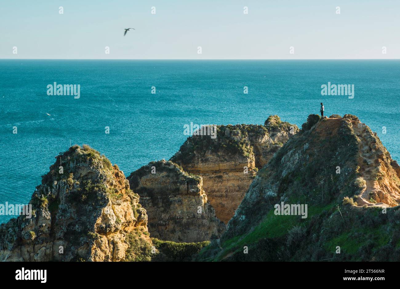 Touristen beobachten das Meer von der Spitze einer Klippe von Ponta da Piedade, Lagos, Algarve Region, Portugal Stockfoto