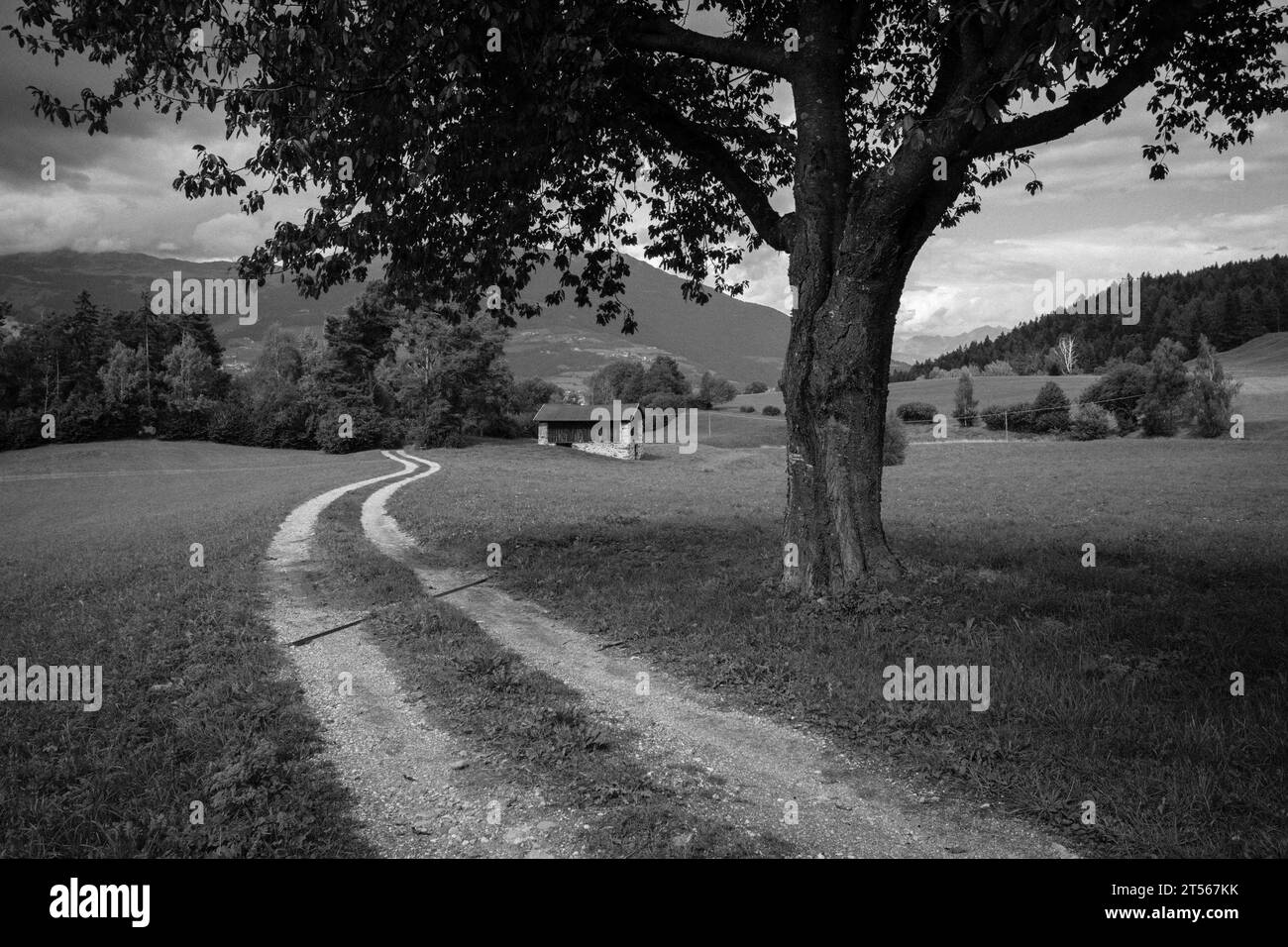Alter Heuboden auf einer Weide in Gröden Stockfoto