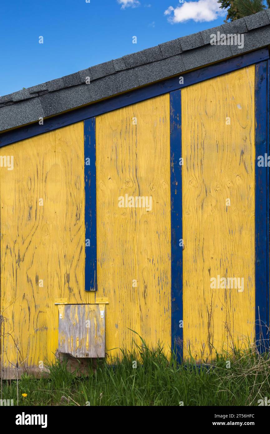 Gelb lackiertes Sperrholzblech mit blauer Verkleidung und grauem Asphaltschindeldach, Lagerhaus, Quebec, Kanada Stockfoto