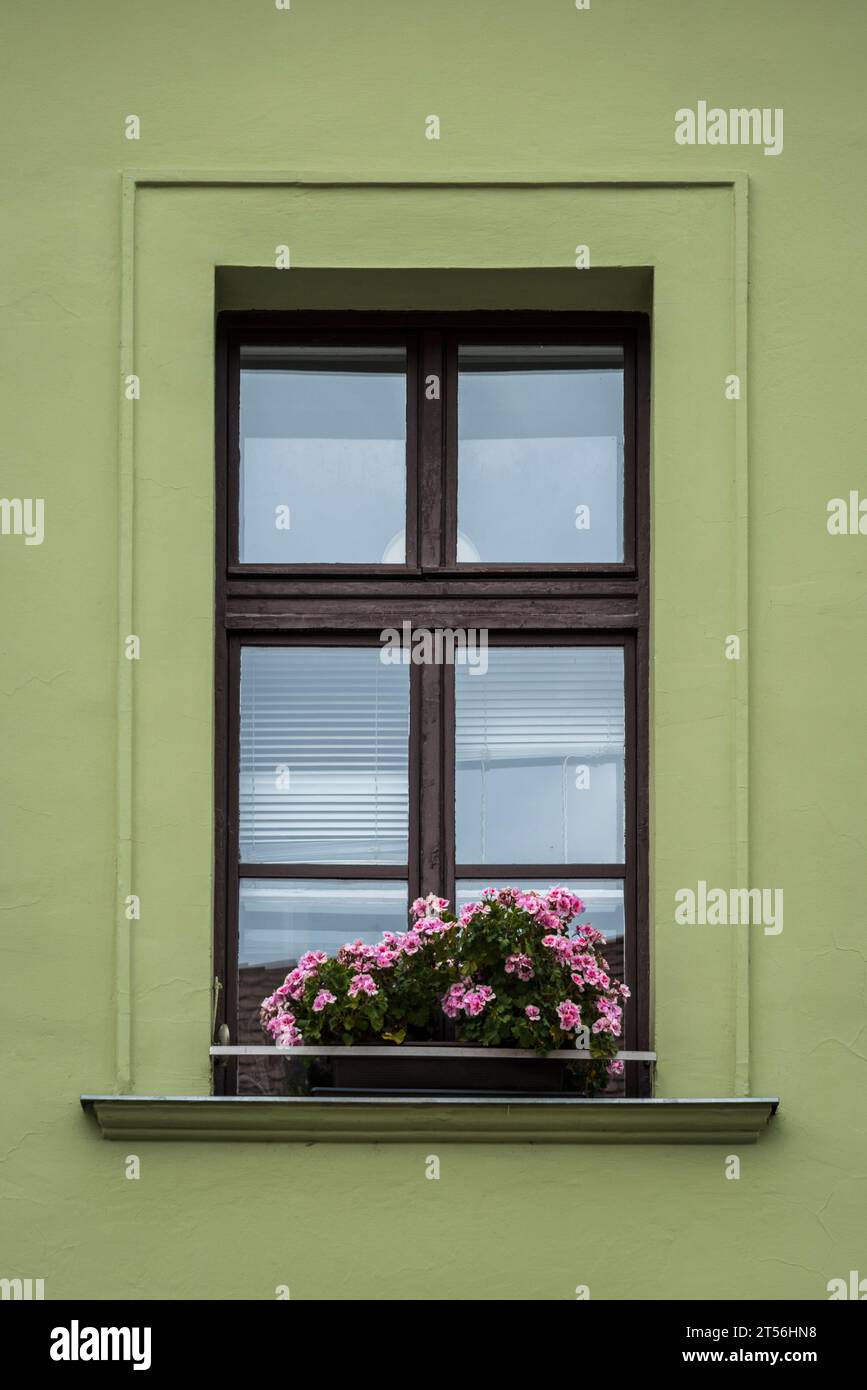 Wunderschönes historisches Haus im Burgviertel Buda, Altstadt, Budapest, Ungarn Stockfoto