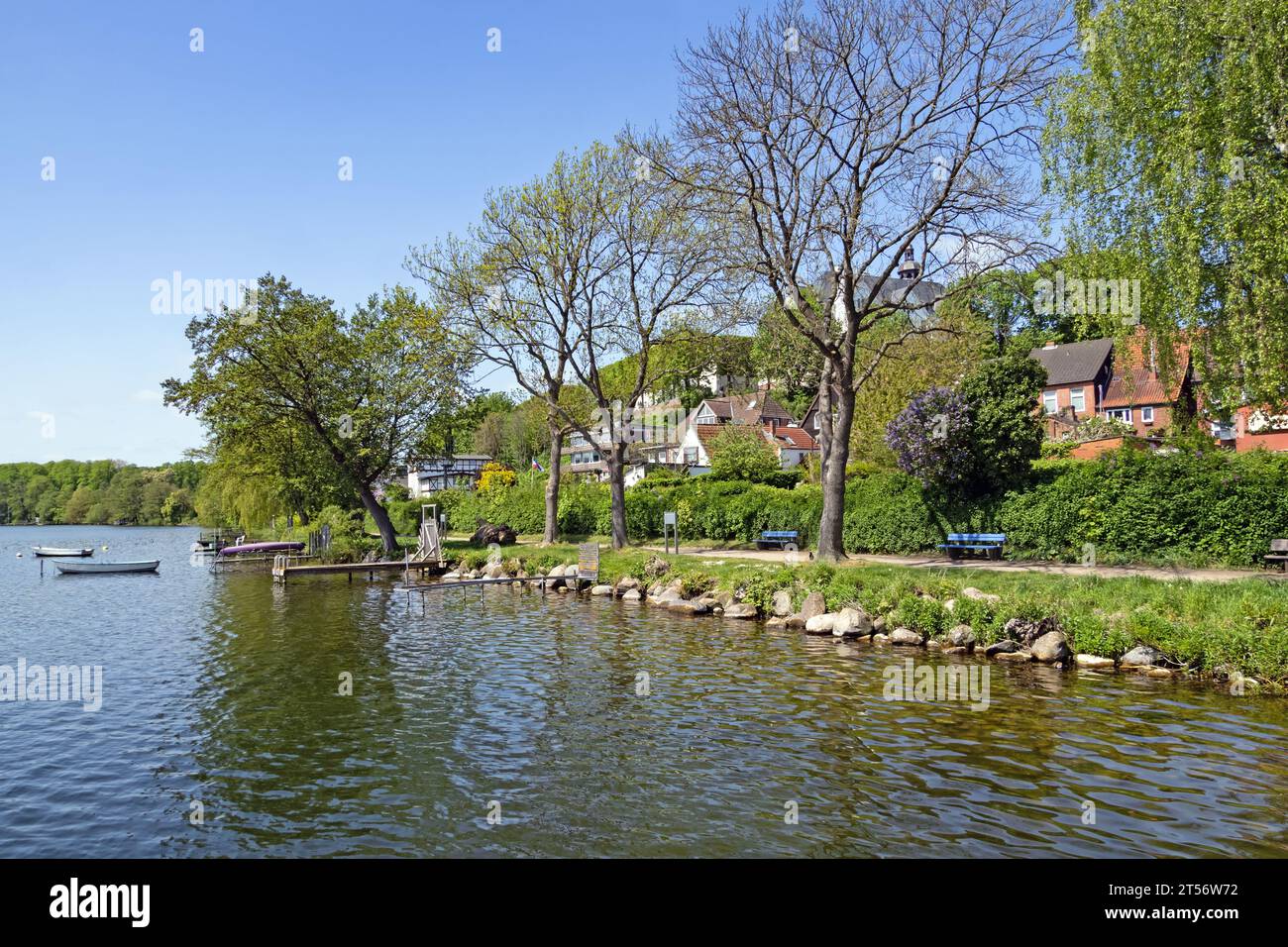 Wanderweg am Ufer des Großen Ploensees in Plon, Schleswig-Holstein, Deutschland Stockfoto