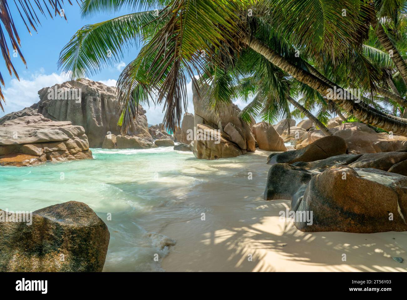 Granitfelsen und Palmen am malerischen tropischen Sandstrand Anse Patates, La Digue Island, Seychellen Stockfoto