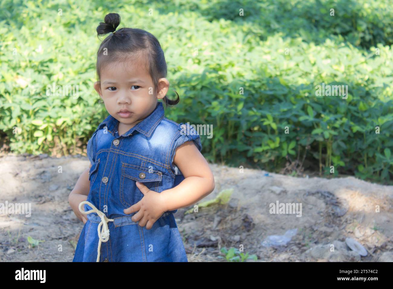thai-Mädchen im Bohnengarten Stockfoto