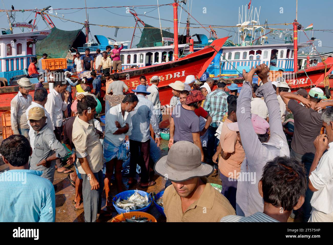 Hektische Aktivität im Alten Hafen in Mangalore, Karnataka, Südindien, Indien, Verkäufer und Käufer feilschen um den frisch angekommenen Fang von Fisch Stockfoto