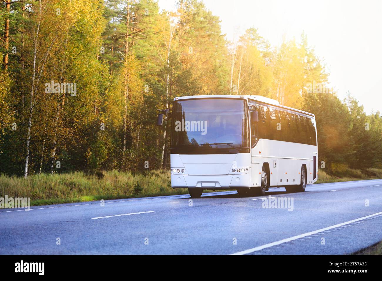 Weißer Reisebus mit Geschwindigkeit auf der Autobahn im herbstlichen Sonnenlicht am frühen Morgen. Keine Personen, Kopierraum links vom Bild. Stockfoto