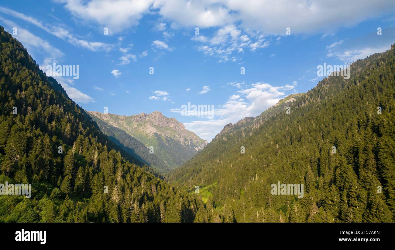 Berg bedeckt mit Wäldern. Wald aus der Vogelperspektive. Die Bergkette ist ein Naturschutzgebiet. Blick auf den Wald bei klarem, bewölktem Wetter Stockfoto