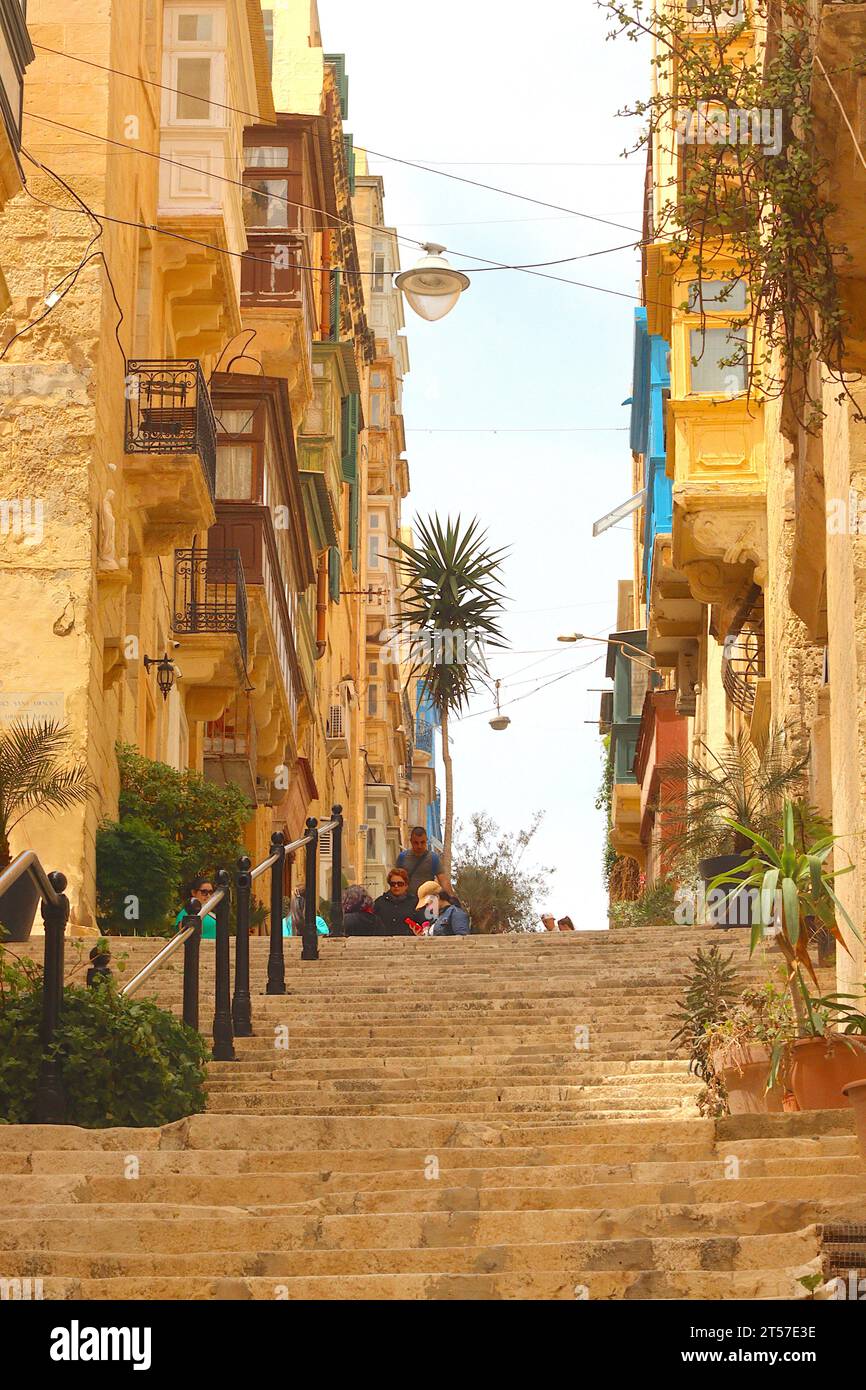 Schmale Kalksteintreppen, gesäumt von Pflanzgefäßen und alten Gebäuden, erstrecken sich nach oben und bilden die lange Treppe in der St. Lucia Street, Valletta, Malta. Stockfoto