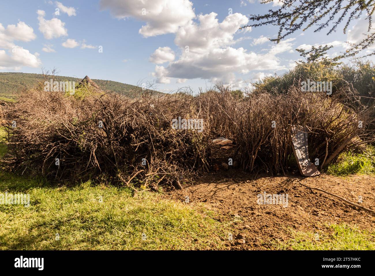 Schützende Dornsträucher am Ende des Dorfes Masai, Kenia Stockfoto