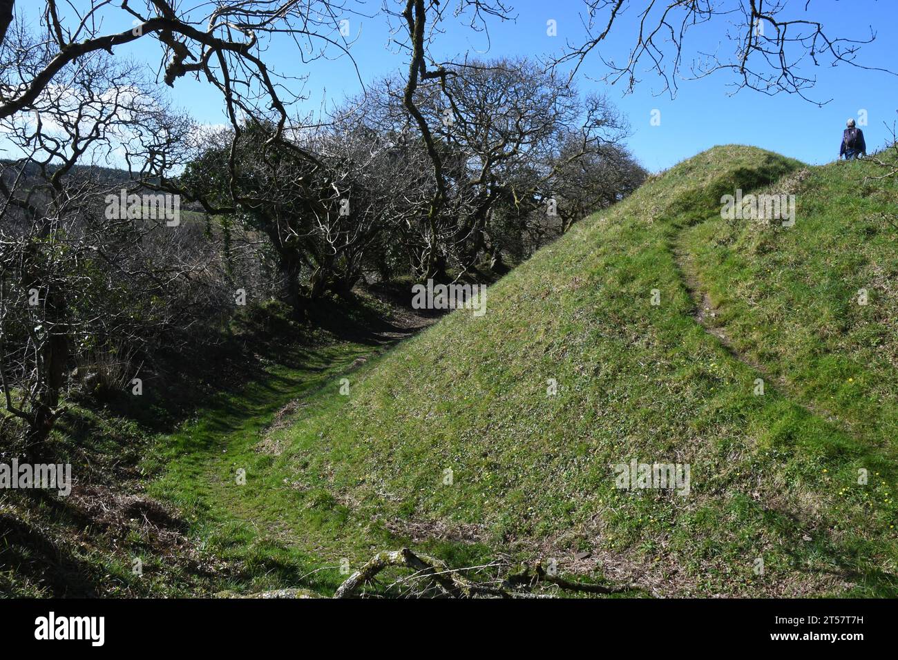 Steile Hänge der Burg Kilkhampton, auch bekannt als Penstowe Castle, mittelalterliche Festung von Motte und Bailey Bau gebaut auf einem Hügel, der von steilen s geschützt ist Stockfoto