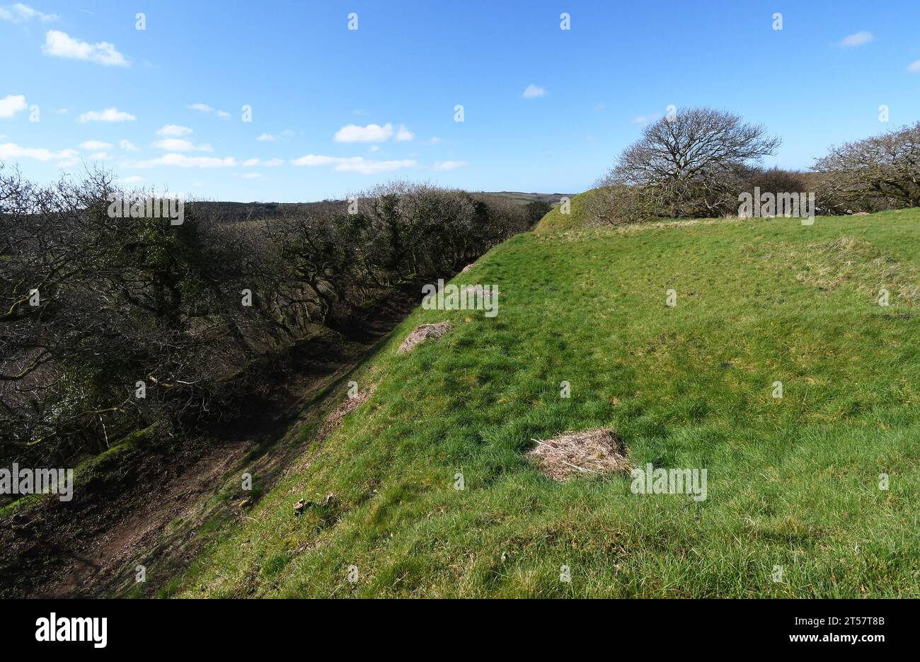 Steile Hänge der Burg Kilkhampton, auch bekannt als Penstowe Castle, mittelalterliche Festung von Motte und Bailey Bau gebaut auf einem Hügel, der von steilen s geschützt ist Stockfoto