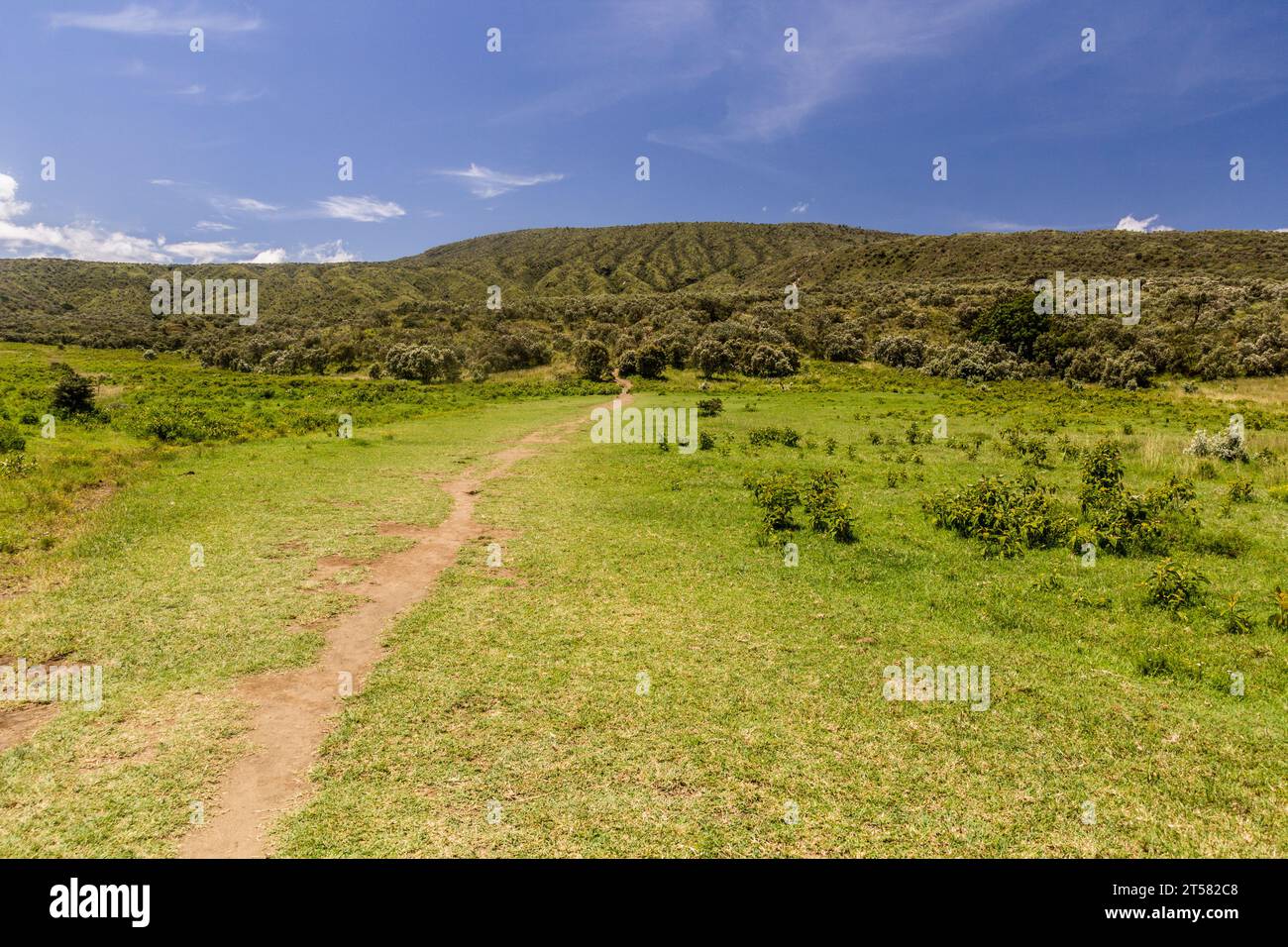 Wanderweg im Longonot National Park, Kenia Stockfoto