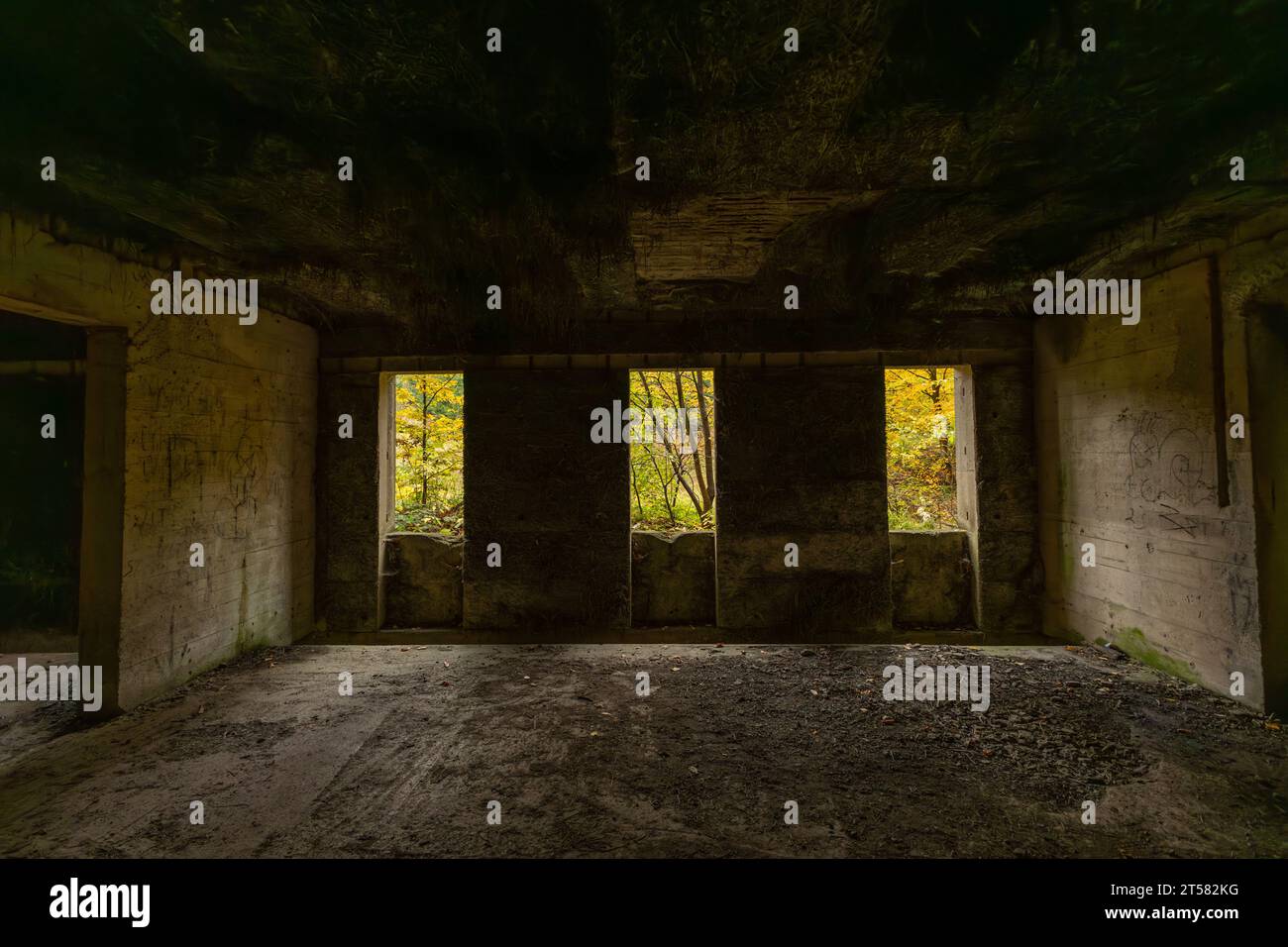 Komplexe osowka -Fotos und -Bildmaterial in hoher Auflösung – Alamy