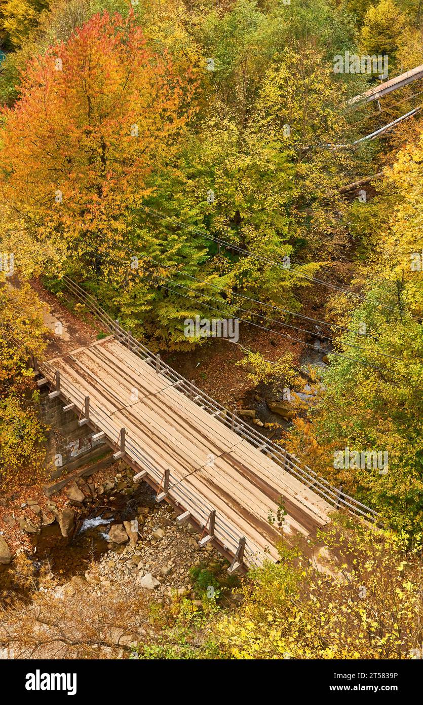 Tauchen Sie ein in die Ruhe des Herbstes, während Sie eine malerische Waldszene erleben. Ein kleiner Gebirgsbach schlängelt sich anmutig durch die Vibran Stockfoto