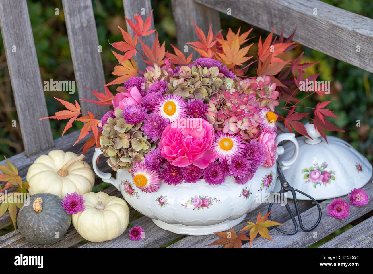 Blumenanordnung aus rosa Rosen, Hortensie, Chrysanthemen und Ahornblättern in Vintage-Suppe-Tureen Stockfoto