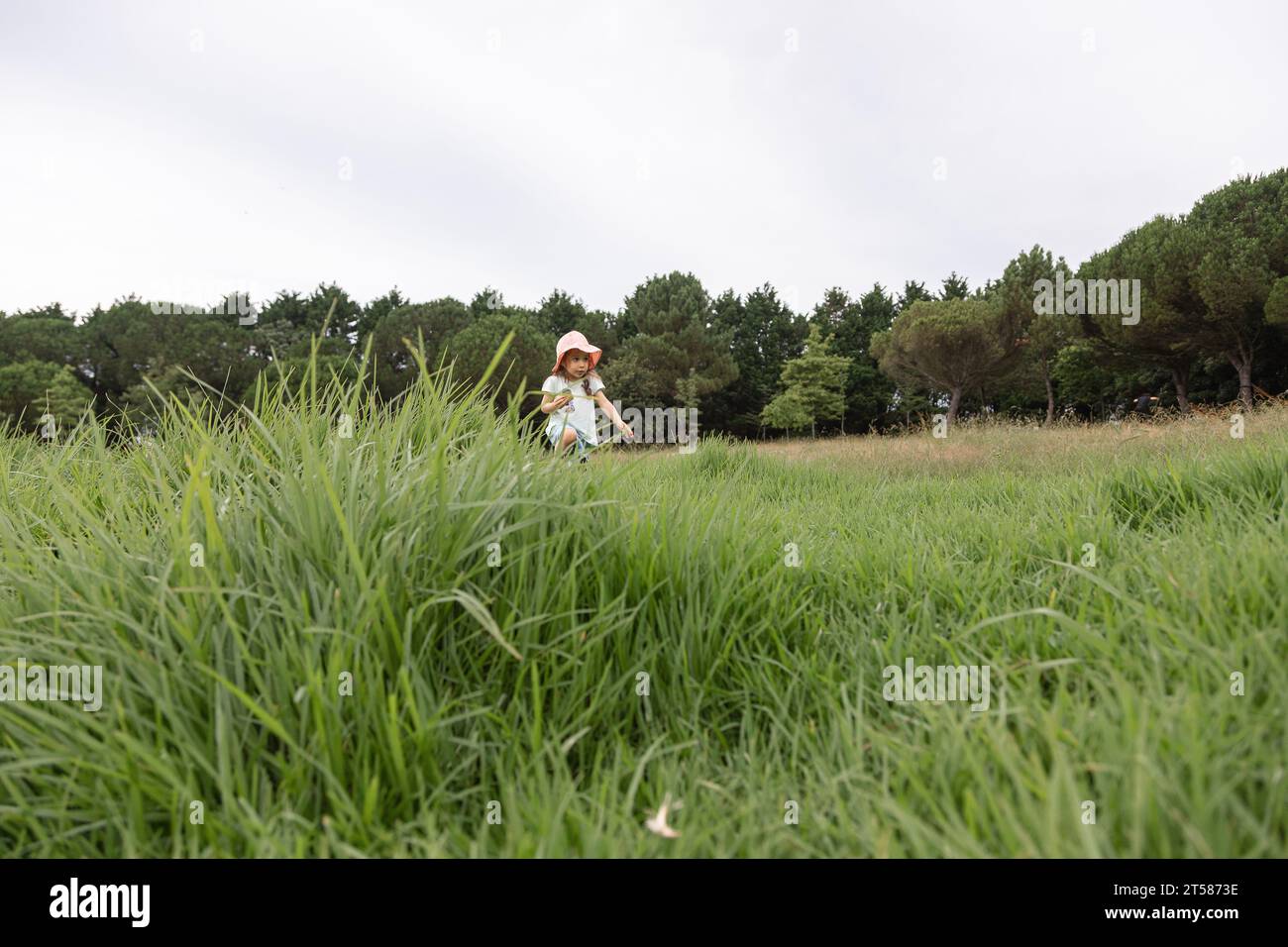 Das Konzept der glücklichen Kindheit, die Welt um Sie herum zu erkunden. Liebende Mädchen, die tagsüber im Gras in einem Park spielen. Stockfoto