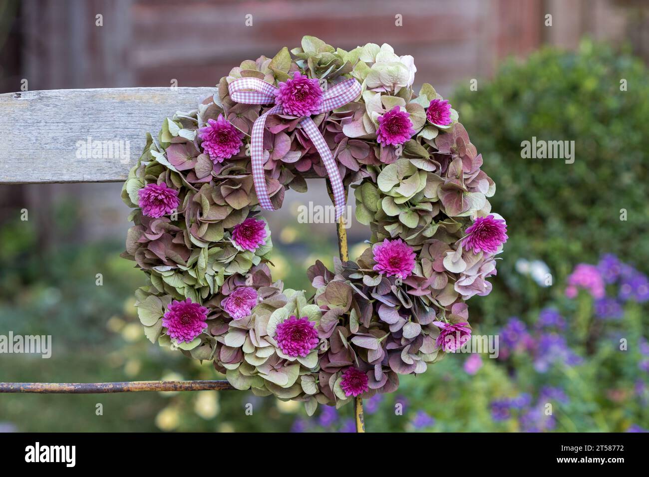 Kranz aus Hortensie-Blüten und Chrysanthemen, die auf dem Gartenstuhl hängen Stockfoto