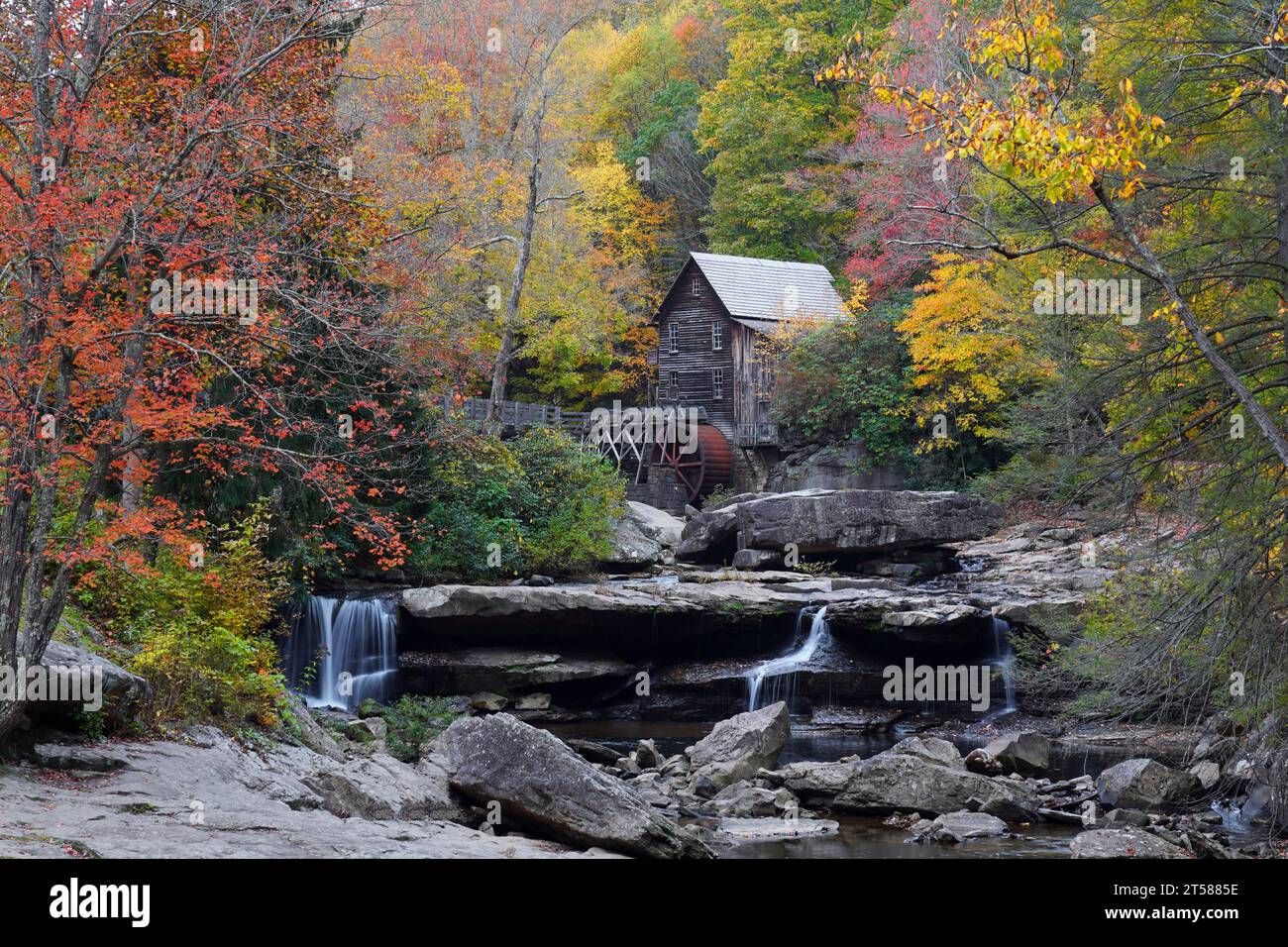 Herbstfarbe rund um die Glade Creek Grist Mill im Babcock State Park in West Virginia Stockfoto