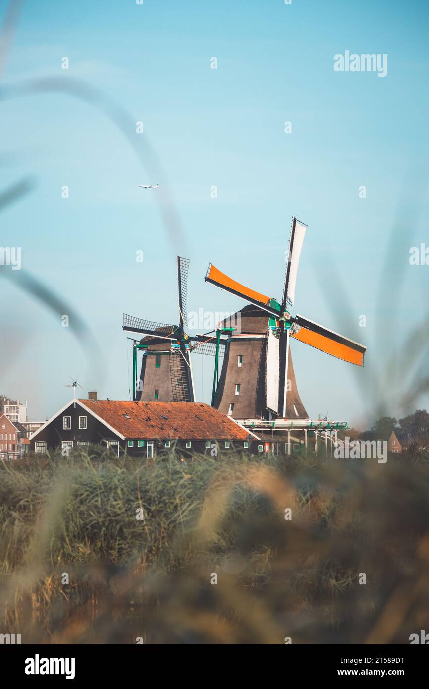 Das beliebte Touristenziel Zaanse Schans liegt in der Nähe von Amsterdam im Westen der Niederlande. Historische, realistische Windmühlen bei Sonnenaufgang. Hollands Landmar Stockfoto