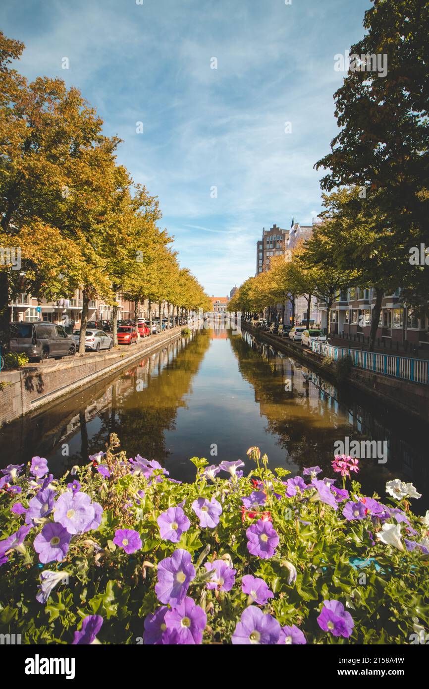 Von Bäumen gesäumte Allee rund um den Stadtkanal mit Blick auf die Wolkenkratzer in den Haag, westliche Niederlande. Sommer in den Niederlanden. Stockfoto