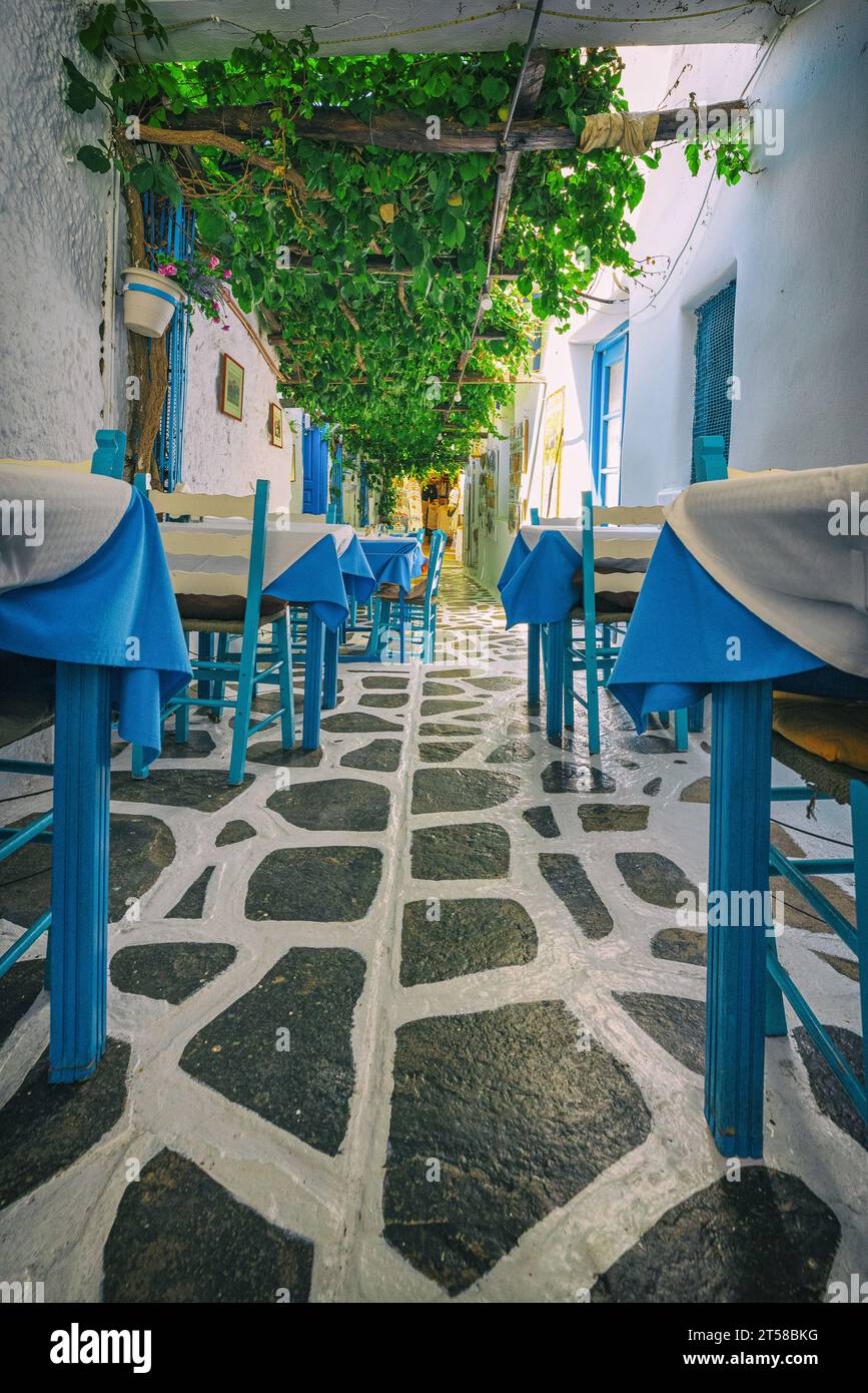Charakteristische Gasse mit Taverne in der Altstadt von Naxos, Griechenland Stockfoto