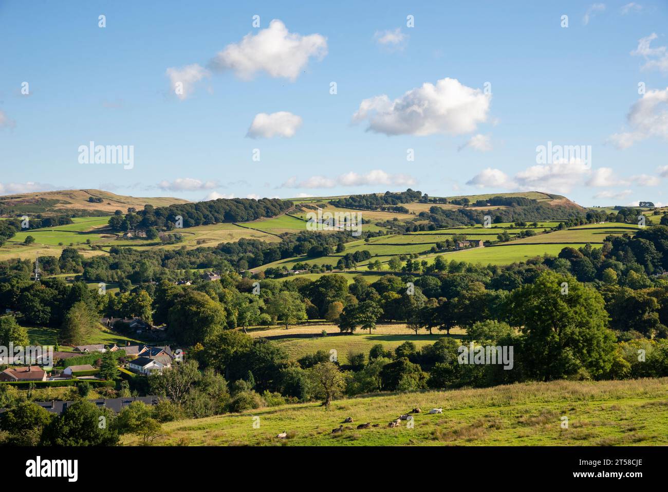 Wunderschöne Landschaft in der Nähe von Bollington an der Grenze zu Cheshire, Derbyshire, Nordwestengland. Stockfoto