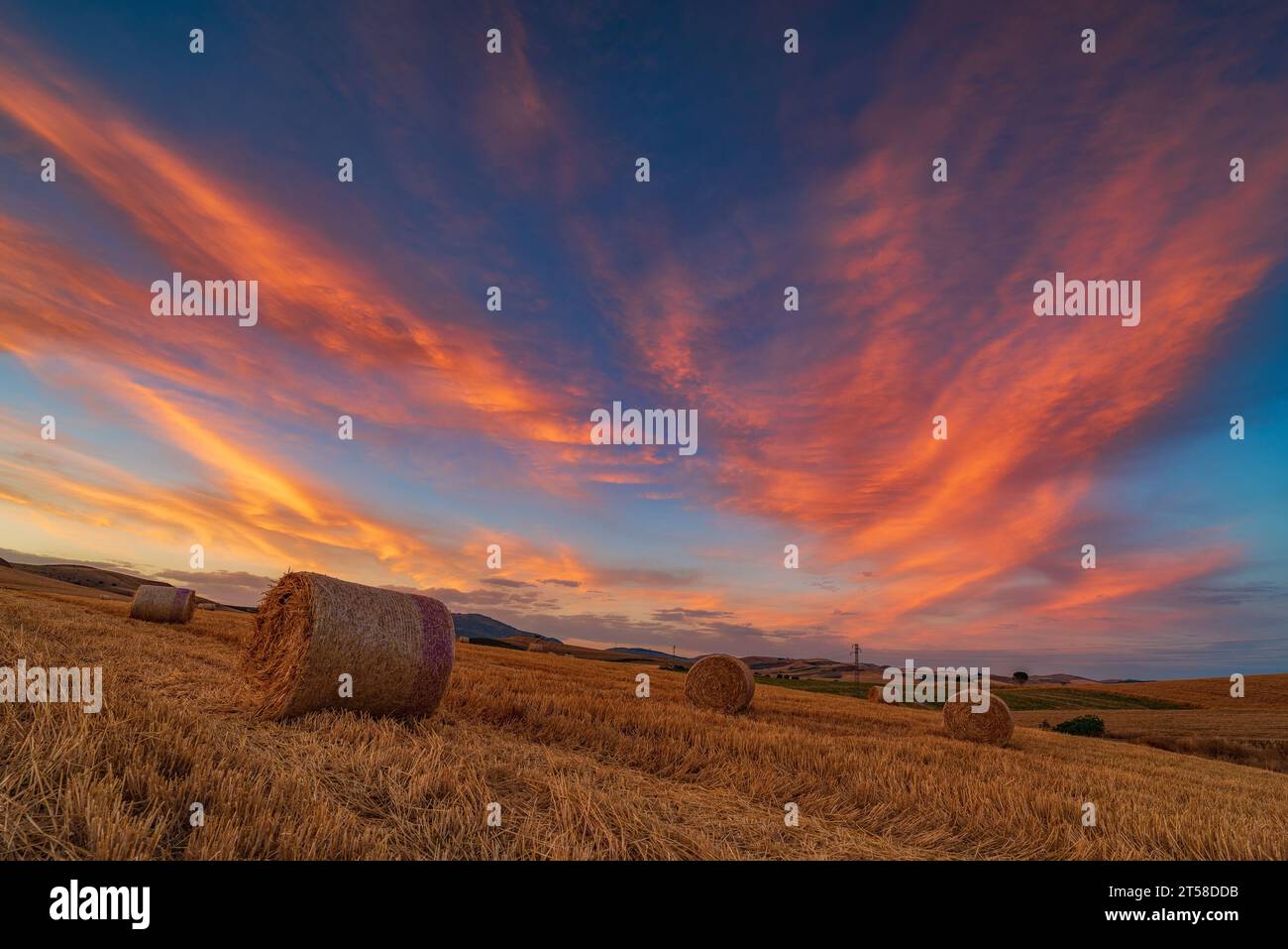 Heuballenfeld in der Abenddämmerung, Sizilien Stockfoto