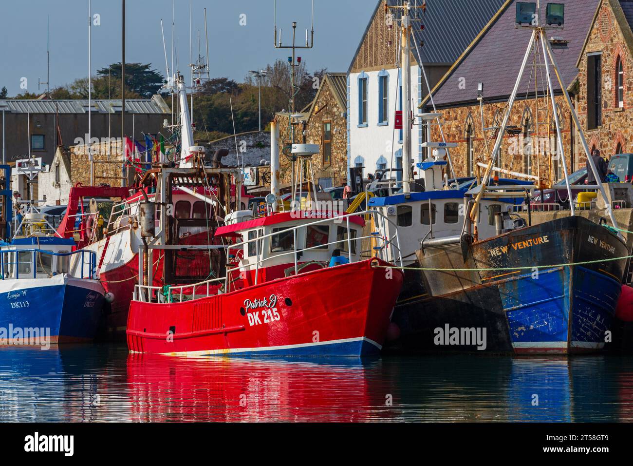 Fischerboote, Howth Harbour, County Dublin, Irland Stockfoto