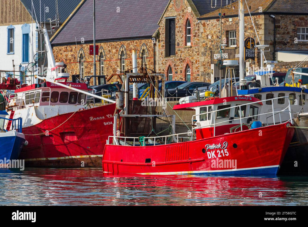 Fischerboote, Howth Harbour, County Dublin, Irland Stockfoto