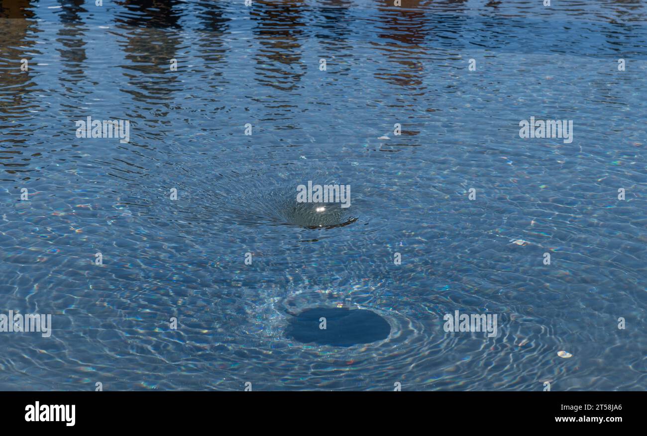 Großer Wirbel in einem Pool unter heller hawaiianischer Sonne Stockfoto