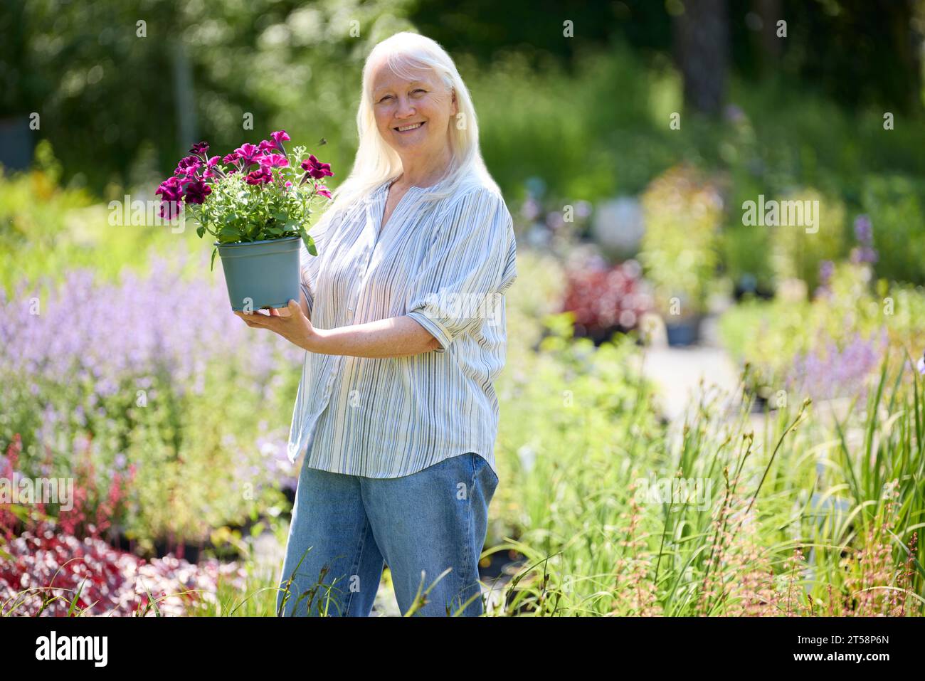 Porträt Einer Senior-Kundin Im Gartenzentrum, Die Sich Für Eine Pflanze Entscheidet Stockfoto