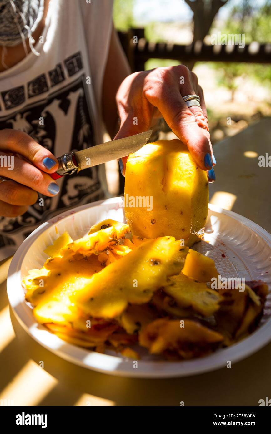 Eine Frau schneidet eine Ananas im Schatten zum Mittagessen mit einem Bleimesser in Kakamas in Südafrika Stockfoto