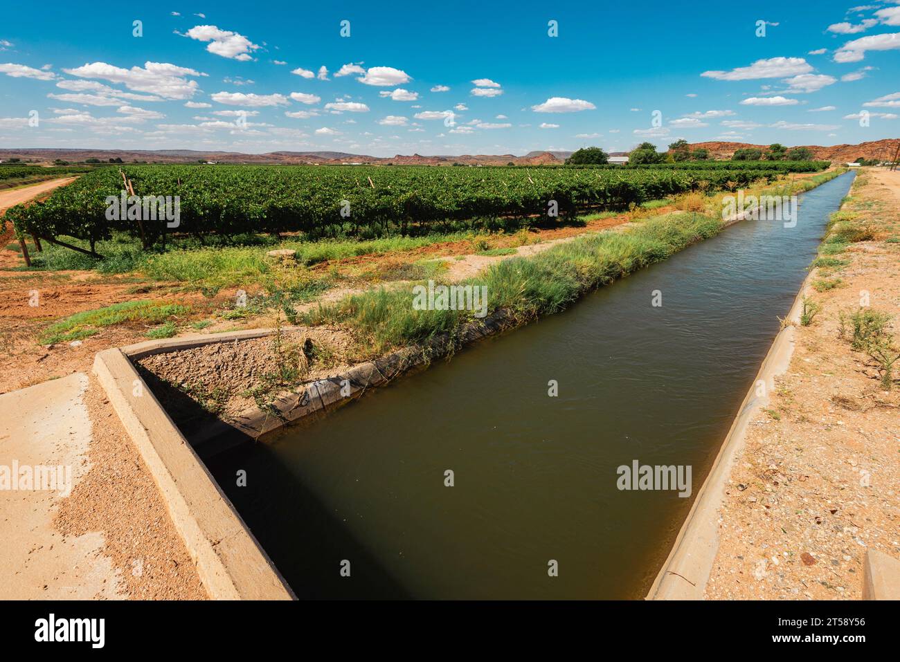 Ein Bewässerungskanal neben einem Weinberg in Südafrika Stockfoto