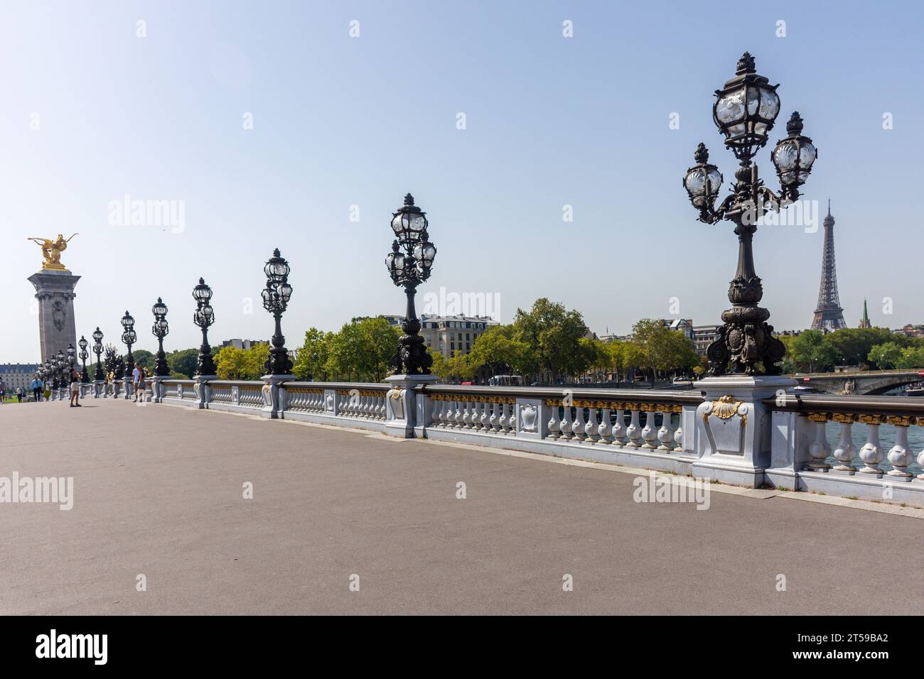 Der Eiffelturm von der Brücke Pont Alexandre III, 8. Arrondissement, Paris, Île-de-France, Frankreich Stockfoto