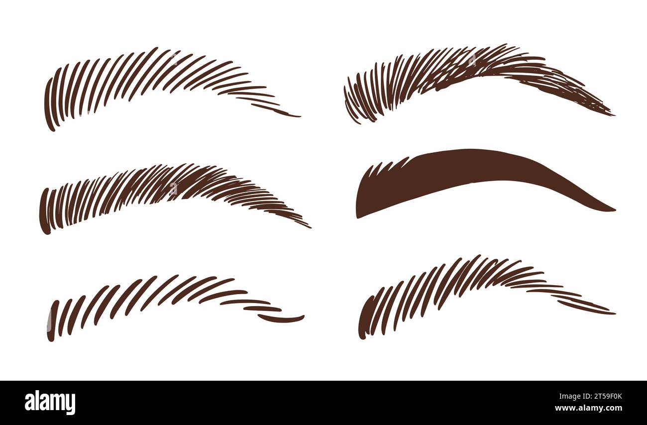 Verschiedene Symbole für weibliche Augenbrauen eingestellt. Make-up-Augenbrauen Stock Vektor