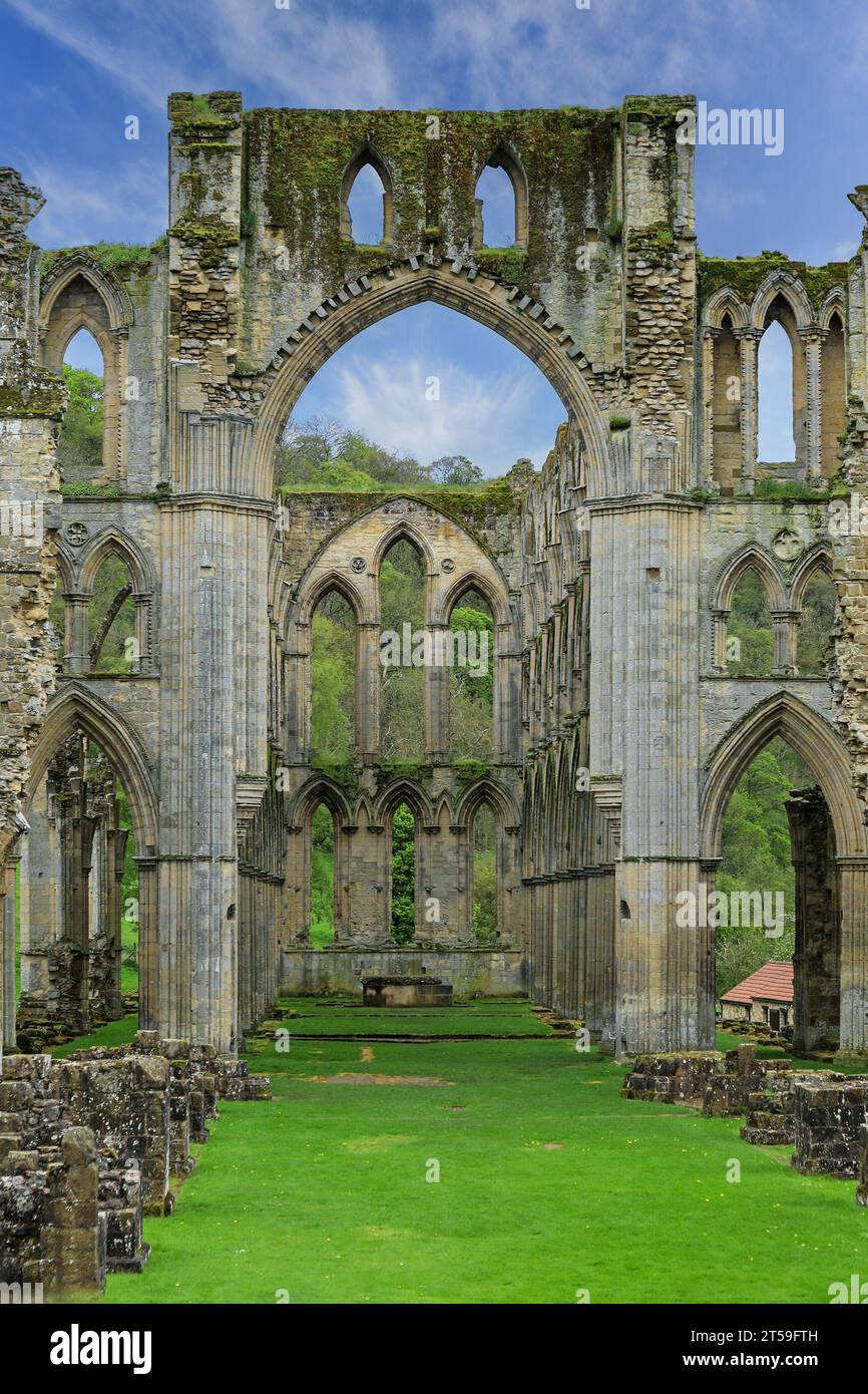 Ruinen der Rievaulx Abbey, Rievaulx, nahe Helmsley, im North York Moors National Park, North Yorkshire, England, Großbritannien Stockfoto