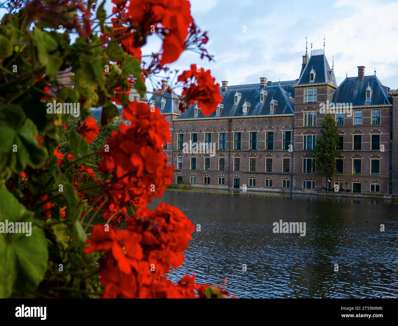 Das Haager Schloss Binnenhof neben dem Hohvijfer Kanal. Niederlande: Niederländische Parlamentsgebäude. Stockfoto