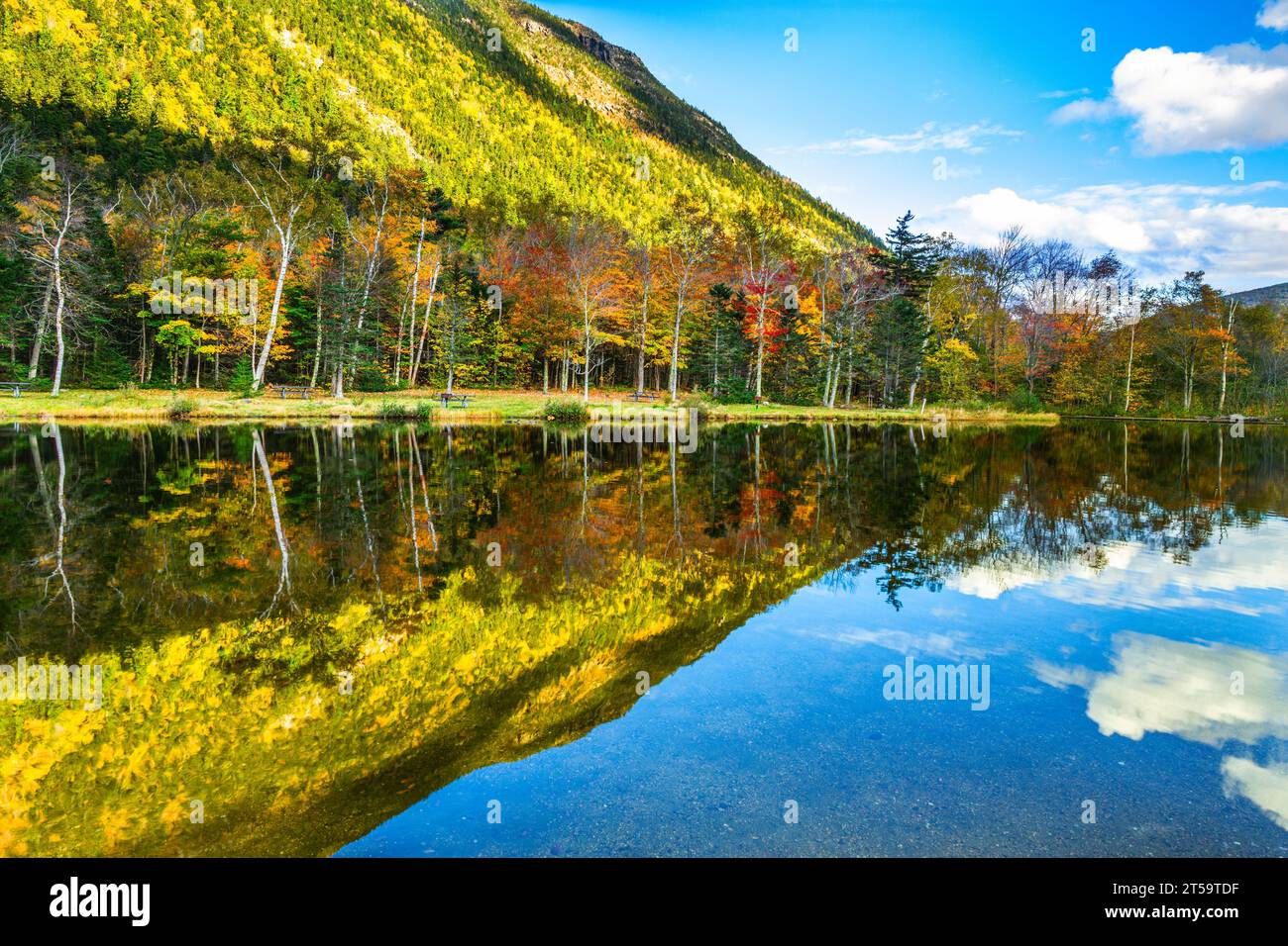 Herbstlaub in Crawford Notch, State Park, NH Stockfoto