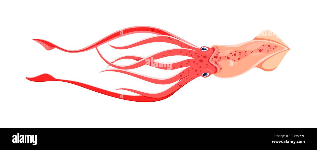 MeeresTintenfisch Tier Charakter, isolierte Karikaturvektor Marine Kreatur mit einem weichen Körper, Tentakeln und Fähigkeit Farbe und Form zu ändern. Es navigiert durch die Tiefen des Ozeans, wobei Tinte als Abwehrmechanismus verwendet wird Stock Vektor