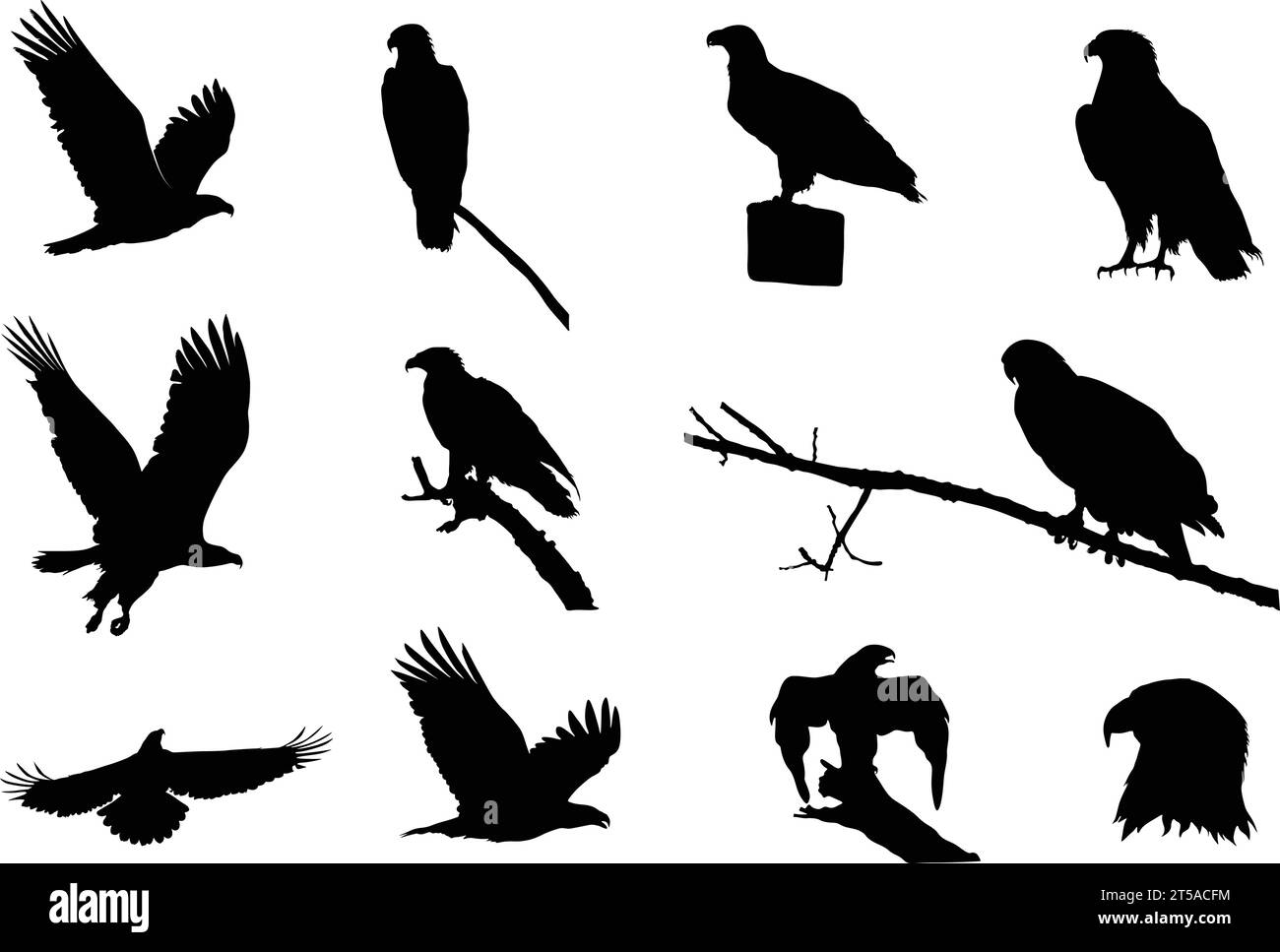 Adler Silhouetten, Fliegende Adler Silhouette, Glatzenadler Silhouette, Adler Vektor Illustration Stock Vektor