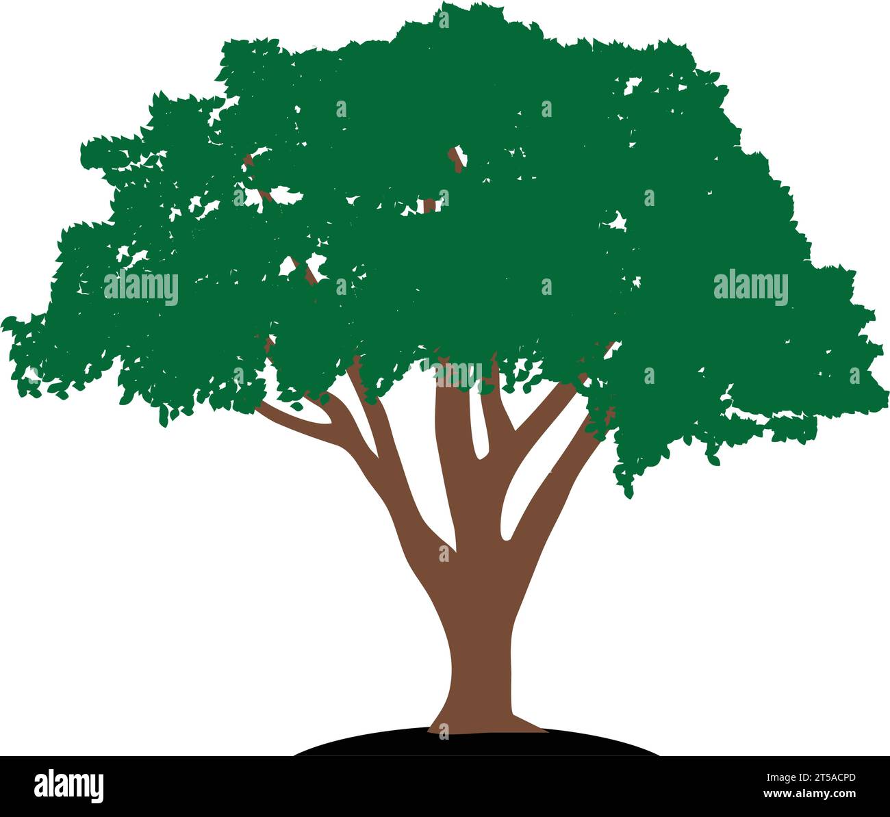 Schattiger Baum Symbol Vektor Illustration Design Stock Vektor